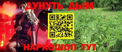 крисы Малгобек