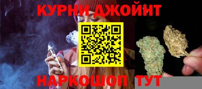 крисы Малгобек