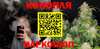 крисы Малгобек