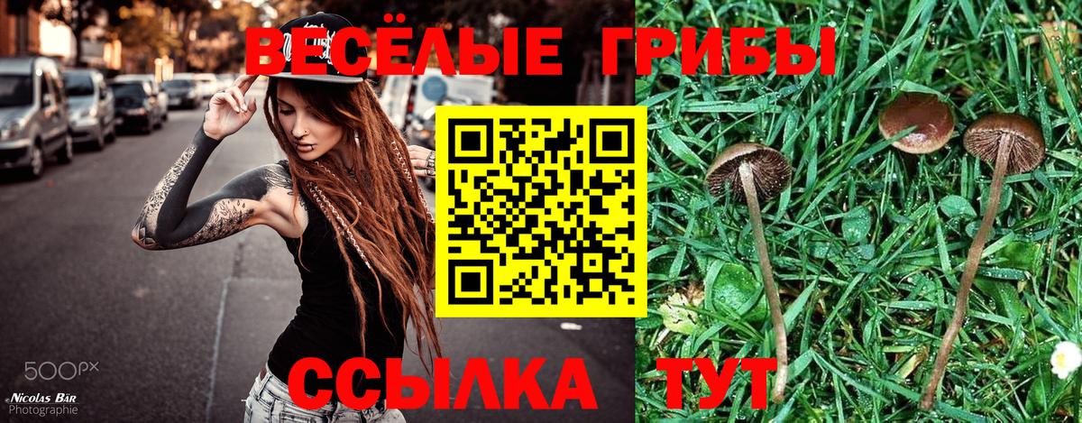 Псилоцибиновые грибы MAGIC MUSHROOMS  Вход с VPN  Гусиноозёрск 