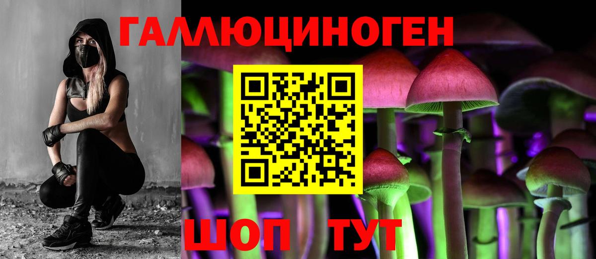 Псилоцибиновые грибы MAGIC MUSHROOMS  Гусиноозёрск 
